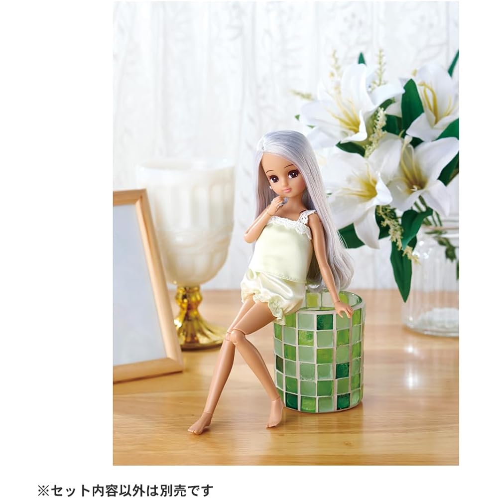 Takara Tomy Licca-chan Doll Photogenic Licca Lily 25cm Collectible Fashion Toy