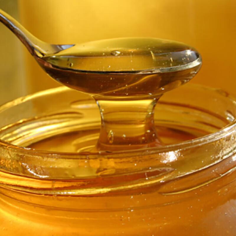 SUNDRY Pure Chaste Tree Honey 500g