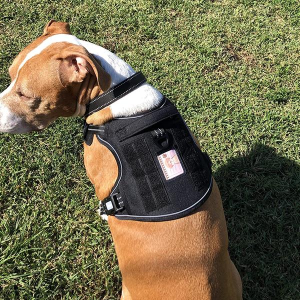 Шлейка для собак Dog's Lab для собак среднего и крупного размера, передний воротник для предотвращения опрокидывания, нагрудный ремень для собак-ретриверов Jindo, черный