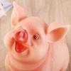 Украшение для дома Детские игрушки Подарок на день рождения Копилка Статуэтки свиньи Копилка Ящик для хранения монет