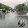 1 пара унисекс бахил для обуви: Водонепроницаемый, Нескользящий, Многоразовый, Прочный, Эластичный и Легко чистится!