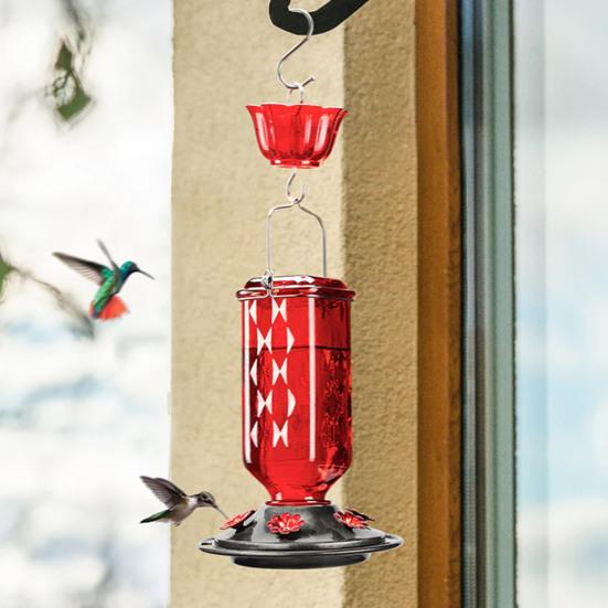 Стеклянная кормушка для колибри 24 унции подвесная кормушка для птиц на открытом воздухе с защитой от пчел