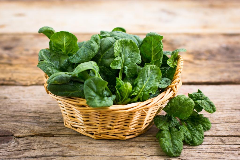 SAFLAX Garden in the Bag - Органический - Шпинат - Матадор - 300 семян - С субстратом в подходящем пакете - Spinacia oleracea