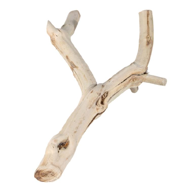 Reptiles Trunk Cave Natural Aesthetic Breeding Driftwood for Reptiles Wood Climbing Habitats Supplies