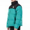 THE NORTH FACE Down Jacket Winter Men's Green NF0A3C8D-ZCV