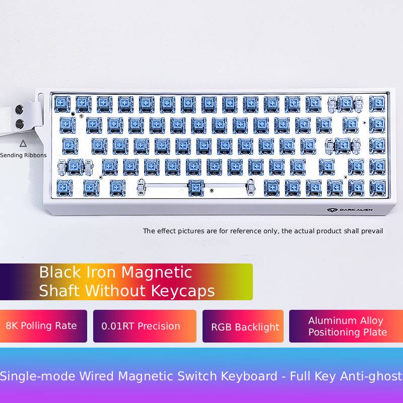 Low Noise USB Wired Keyboard 8K Return Hot Swap 0.01mm RT Custom RGB 65% Layout Size E-Sports Mechanical Gaming Keyboard