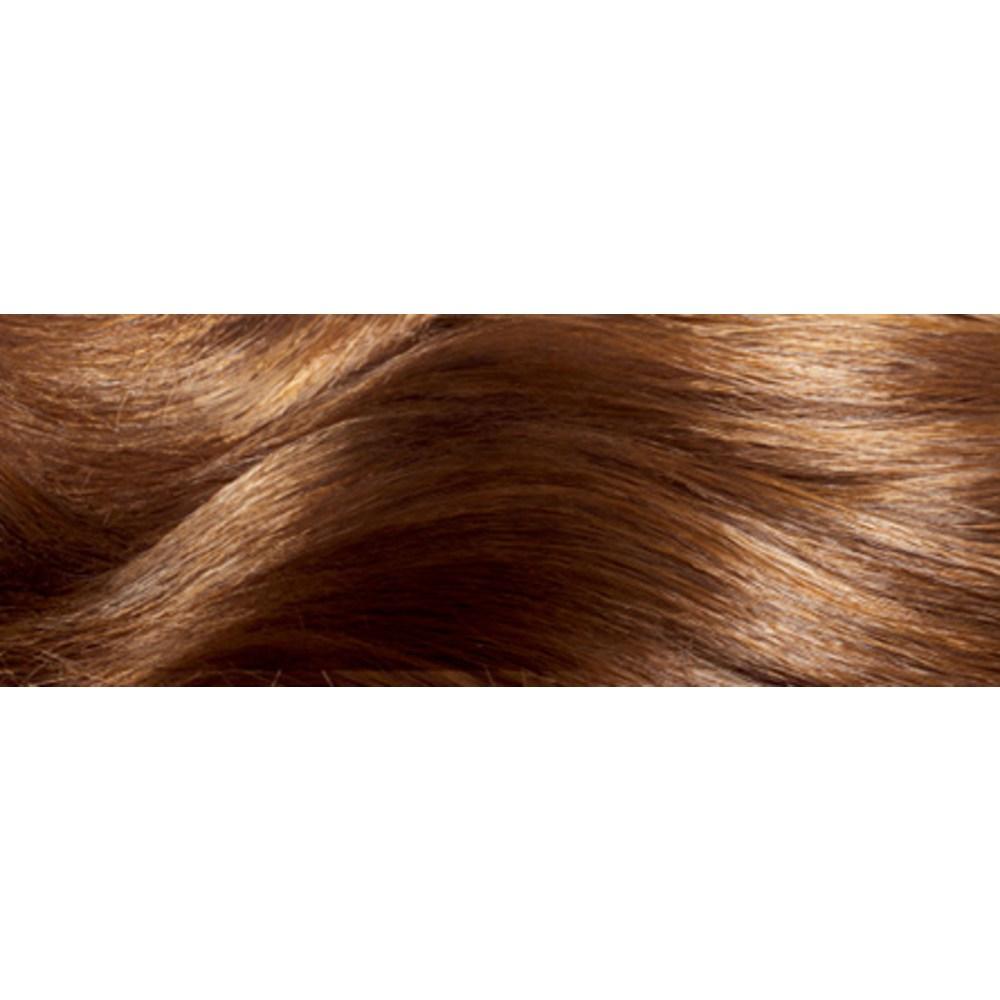 Elastine Salon De Color & Gray Hair Dyeing Cream, Light Brown, 3 Packs