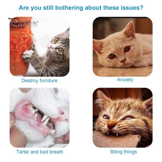 Игрушка-палочка для кошек, интерактивный маленький плюшевый шарик, тизер для котят, палочка-игрушка с колокольчиком, устойчивый к царапинам, мягкий шланг, палочка-дразнилка для кошек для игр