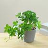 Artificial Spider Plant Artificial Bonsai Plant Fake Plant Decorative Potted Plant  Table Decor