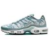 Air Max Plus Palm Pack - мужские кроссовки Waterway Silver Fiberglass White FV0394-300