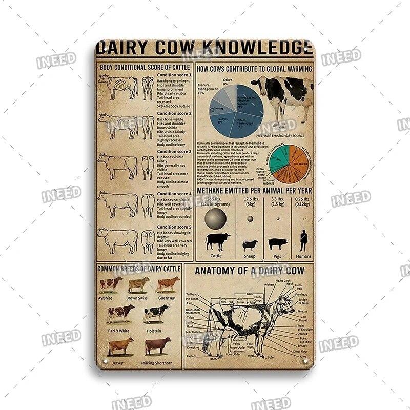 Оловянный знак Знание стоматолога Колли винтажная доска художественный плакат для стоматологического кабинета фитнес-клуба офиса ванная комната Настенный декор подарок