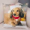 Mini Dachshund Cushion Cover Decor Pet Animal Pillowcase Sofa Home Children's Room Pillowcase