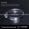 316 Stainless Steel Quick Release Hose Clamp for Pipe Fixing