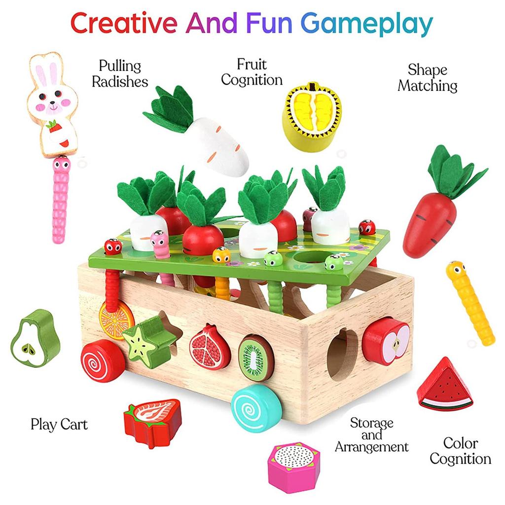 Toddlers Montessori Wooden Educational Toys for Boys Girls Age 1 2 3 Year Old, Shape Sorting Toys Gifts,Wood Preschool Learning Fine Motor Skills Game