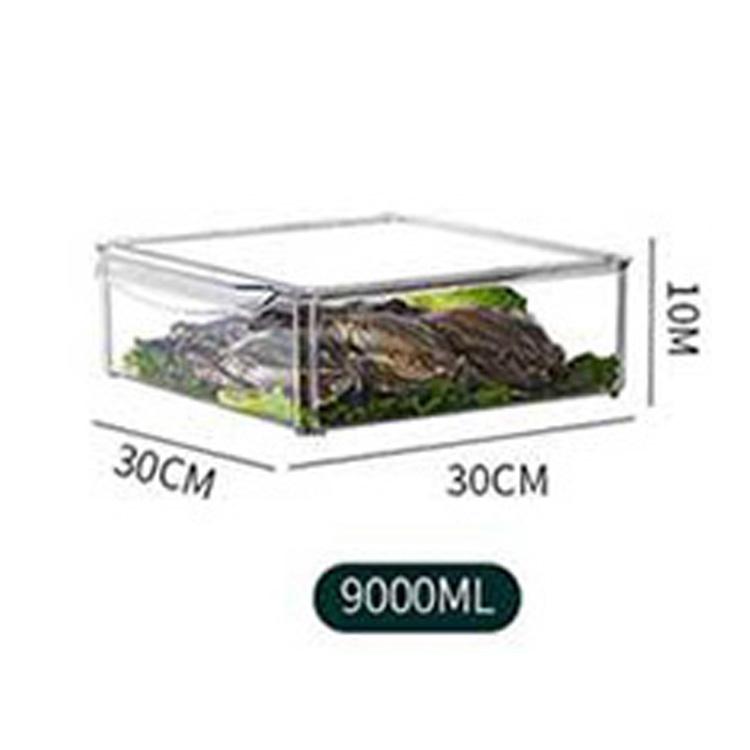 Plastic Food Storage Box Vegetable Fridge Storage Container Organizer Bins for Refrigerator