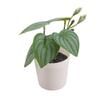 Green Green Plant Potted White Flowerpot Simulation Plant Potted Creative Desktop Ornament  Gift