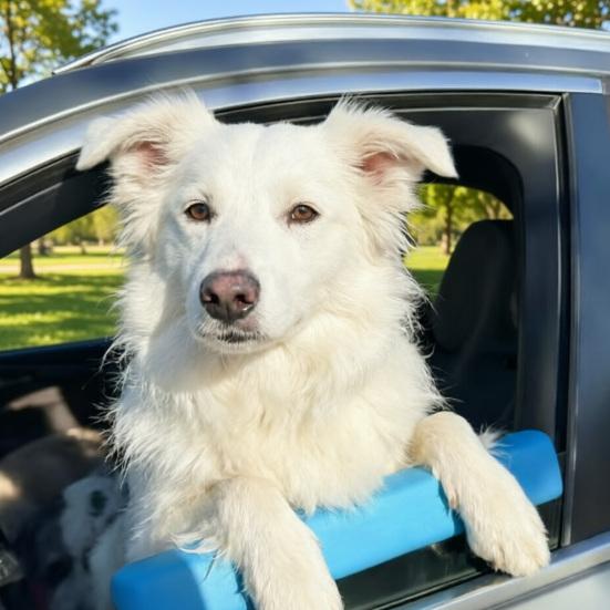 Window Dog Chin Rest, Soft Foam Cushion, Car Dog Chin Cushion, Safe Comfortable Rides, Waterproof Car Dog Accessories for Travel Road Trip Reduces