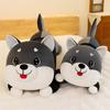 Lovable Husky Plushie Four-way Stretch Fluffy Soft Toy For Girls
