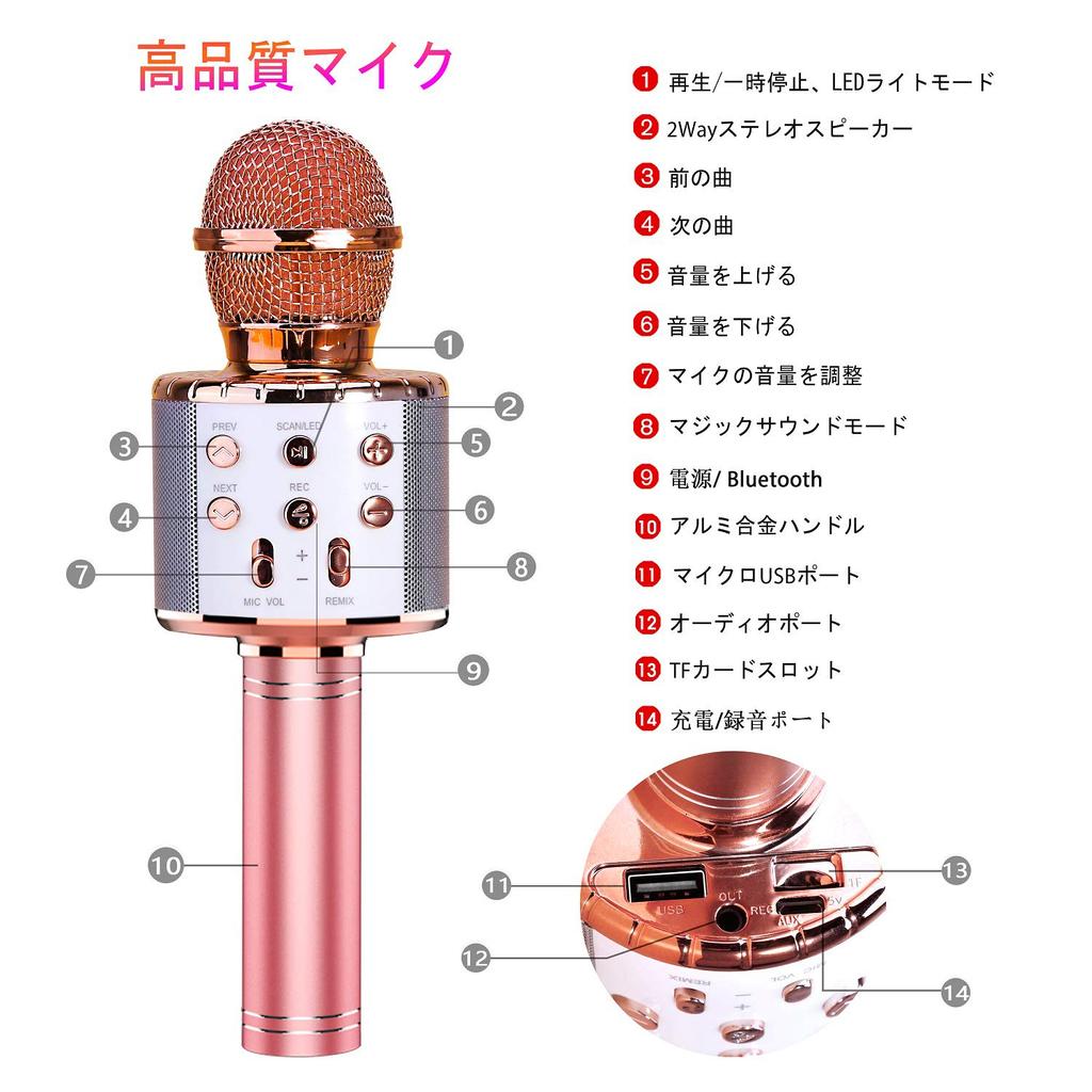 ShinePick Karaoke Bluetooth Wireless Recordable Wireless Noise Equipped with Echo Function Accompaniment Wireless Music Includes Various LED Home