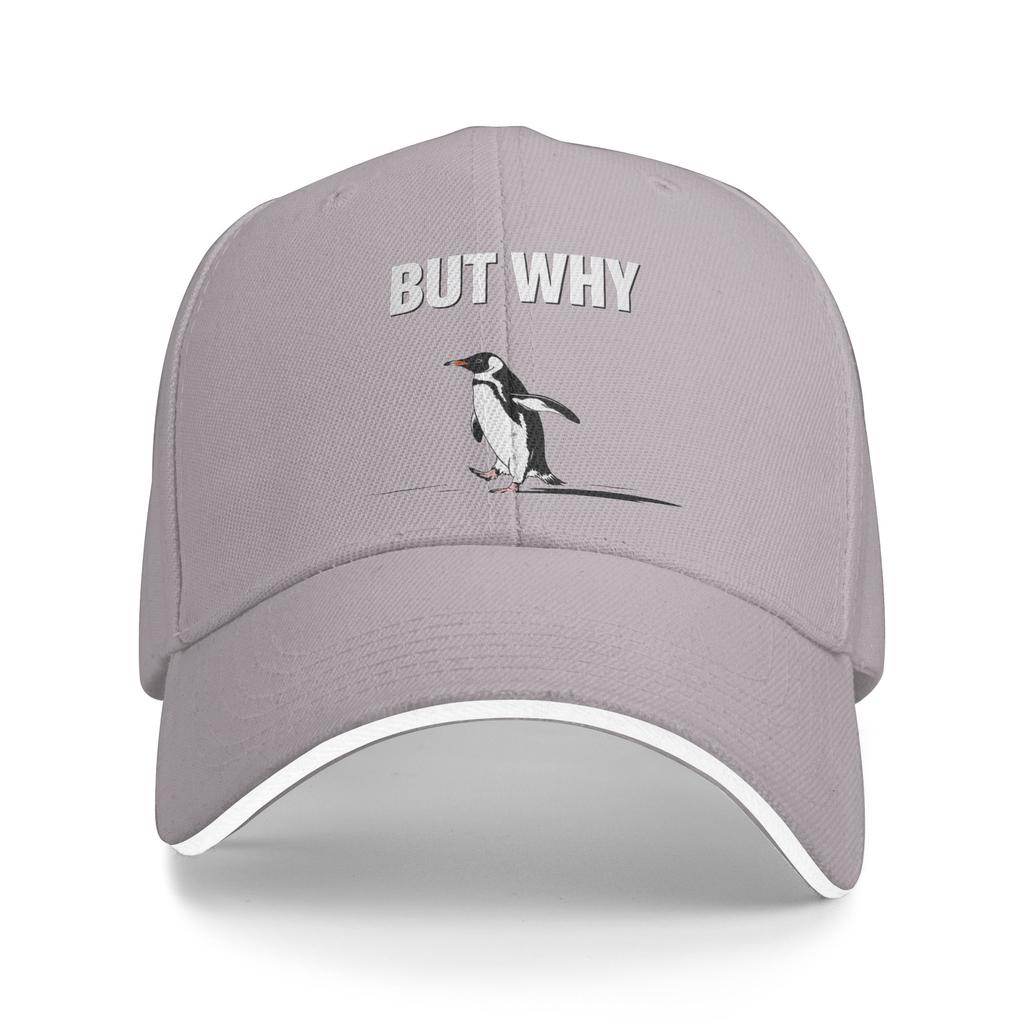 Vintage Nihilist Penguin But Why Baseball Cap Men Women Print Hip Hop Hats Summer Tennis Skate Dropshipping Baseball Caps