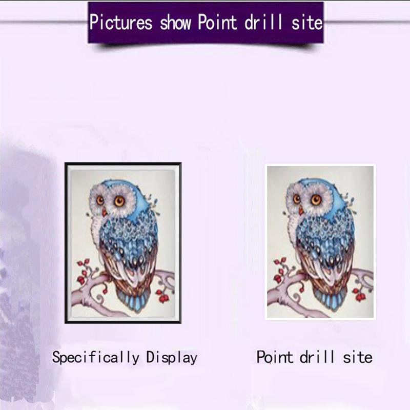 5D алмазная живопись Сова Алмазная мозаика вышивка Diy вышивка крестиком горный хрусталь Алмазная вышивка фотографии животных украшение дома