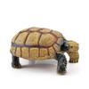 Realistic Turtle Action Figures Simulation Tortoise Animals Figurines Sea Turtle Model  Collection