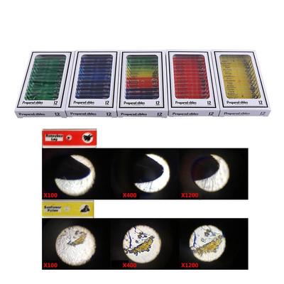 Пластиковые слайды для микроскопа