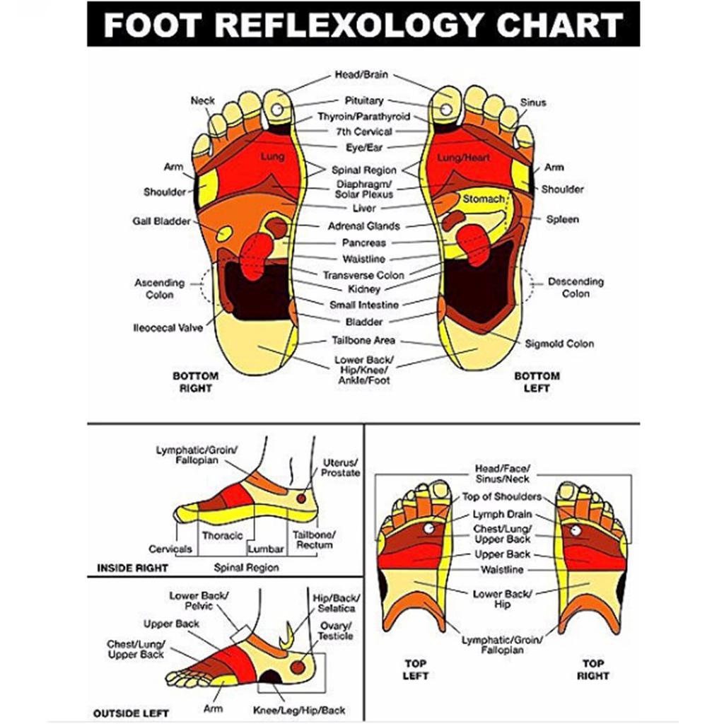 Массажер для ног из бамбука и дерева премиум-класса - большой двойной ролик для облегчения боли и расслабления