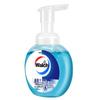 Walch Healthy Care Antibacterial Foaming Hand Soap
