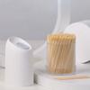 Convenient Simple Toothpick Storage Box Toothpick Holder Toothpick Dispenser Bucket Toothpick Box
