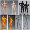 Figma 15th Anniversary Youth 2.0 Male/Female Articulated Action Figure Model