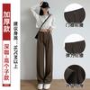 Gray Suit Pants Women's Spring and Autumn New High Waist Drape Loose Small Narrow Version Straight Thin Wide Leg Pants