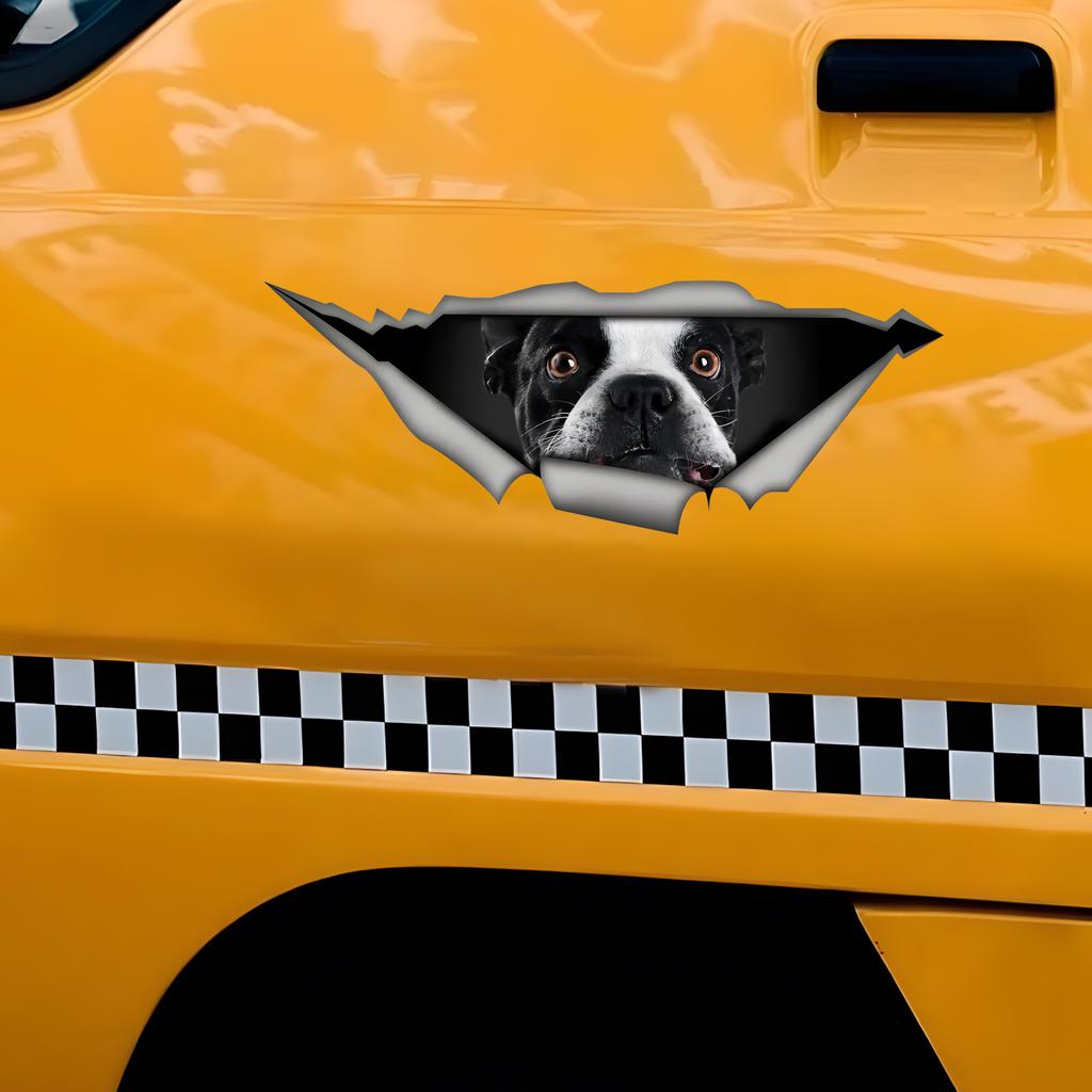 Французский бульдог 3D сломать стену наклейка на автомобиль, водонепроницаемый виниловый материал аксессуары, интересно для автомобилей, грузовиков, мотоциклов, стен