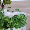 Bird Artificial Doves Indoors Outdoors Foam Home Ornament