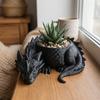 Growing Pots Succulent Planter 3D Printed Flower Container Flower Pot  for Living Room
