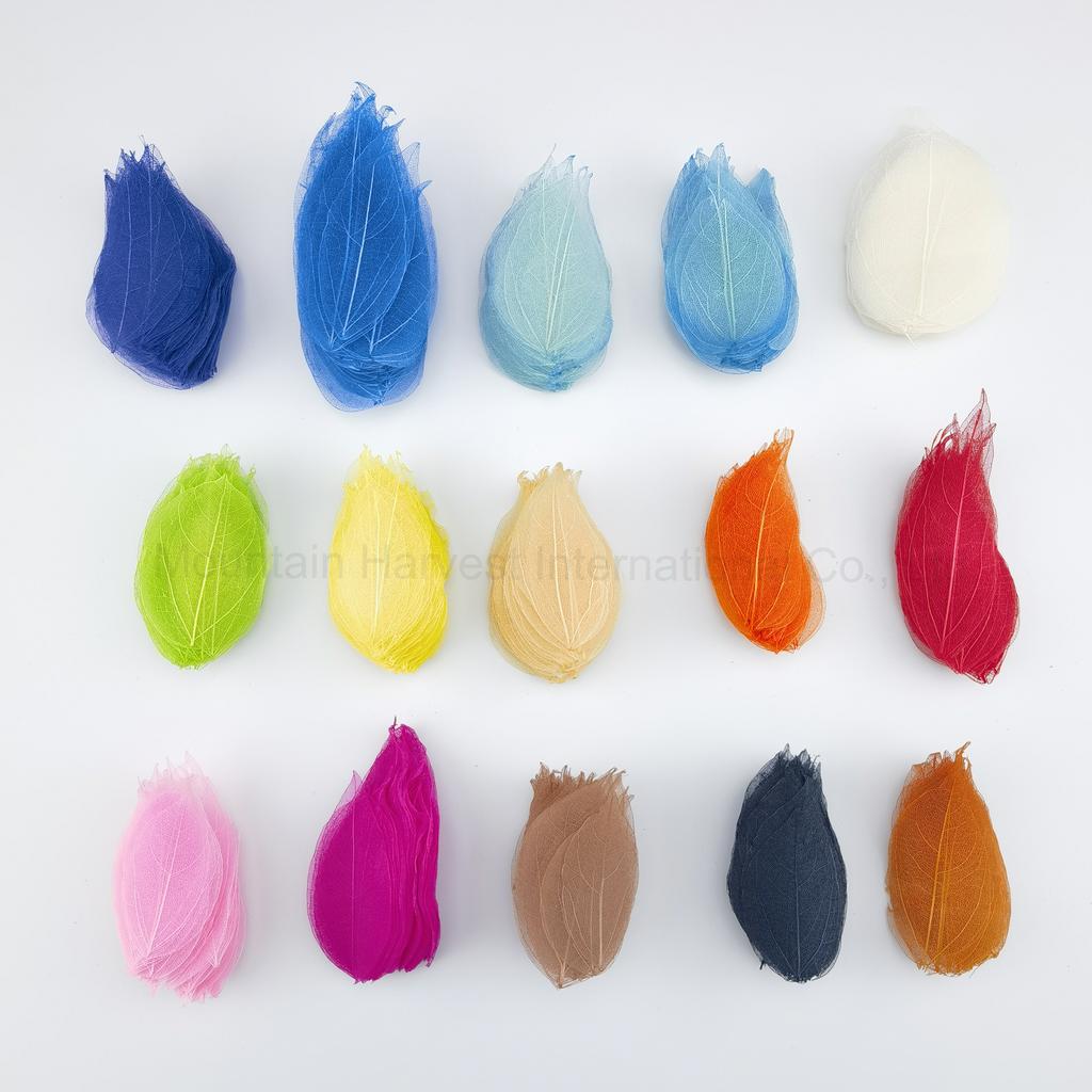 100pcs/bag Solid Color L.4-9cm Skeleton Leaves for Home and Wedding Decoration Embroidery Embellishment for Scrapbooking Craft