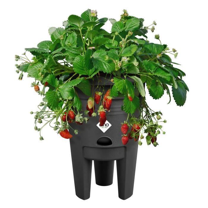 ELHO Pot de culture a fraises Green Basics - Ø 33 x H 42 cm - Culture et récolte,extérieur - 100% recyclé - Noir