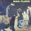 12-дюймовая пластинка MAD FLAVA  Bump Ya Head  Housewreckers PVL53846 Priority Record 1994 US Rap HipHopRB Б/у