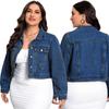 Женская джинсовая куртка ретро большого размера - Универсальный европейский и американский стиль