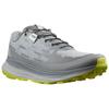 SALOMON Амортизаторы Нескользящие Износостойкие Дышащие Низкие Кроссовки для Бега Мужские Серые Кроссовки 414308