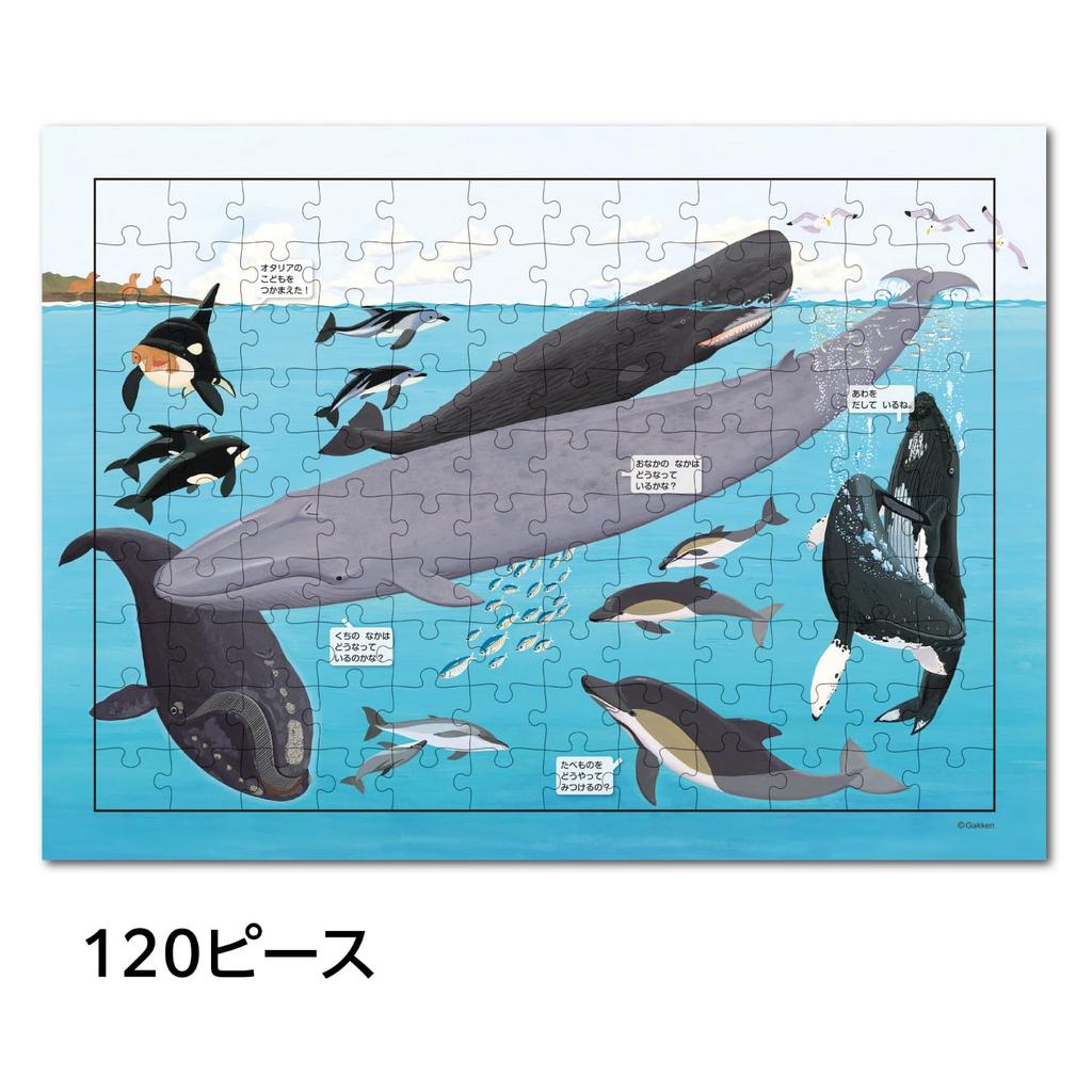 Gakken Discovery Puzzle Jigsaw Ocean 3 and Step 3 Puzzle, 3-Piece Set, (Ages Up), 83538,