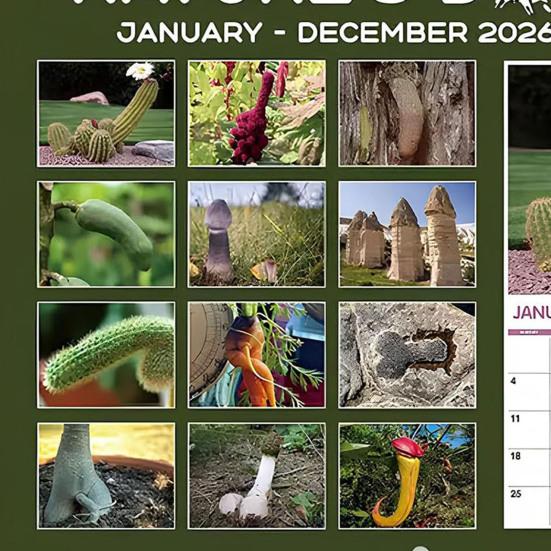 Funny 2026 Wall Calendar Jan. 2026 - Dec. 2026 12 Monthly Planner White Elephant Gag Gifts for Home Office Decoration