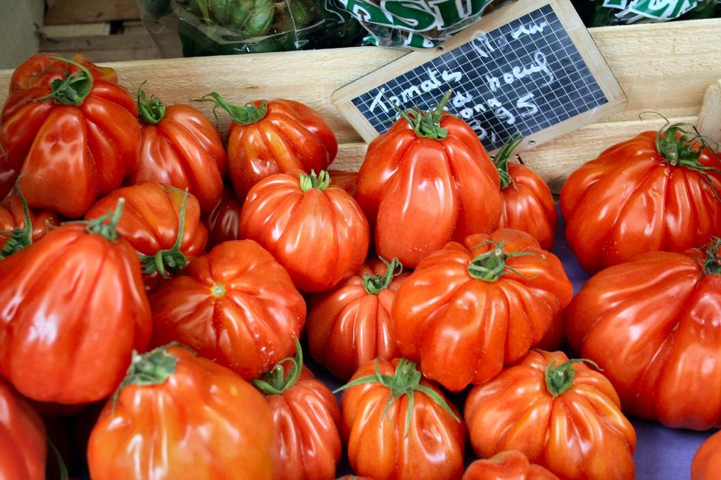 SAFLAX Organic - Tomato - Oxheart - 10 Seeds - Solanum Lycopersicum