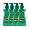 Germ Shield Handwash 200ml Pack Of 4 | Ayurvedic Liquid Pump With Neem Tulsi Turmeric | Gentle Cleanser For Safe And Fresh Hands