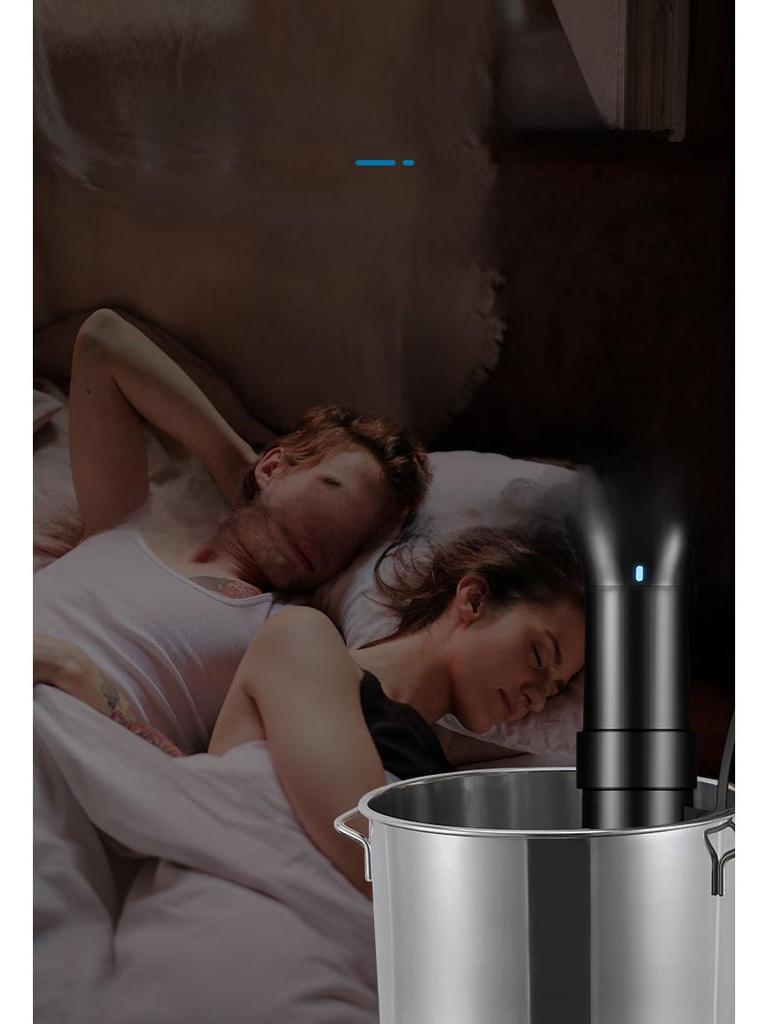 WiFi Sous Vide Slow Cooker & Defroster Stick