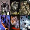 Волк животное DIY алмазная живопись Красочный волк Алмазная вышивка Corss Stitch волк горный хрусталь мозаика картина домашний декор