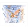 Jennifer Rose Barn Owl Winter Sky Poster