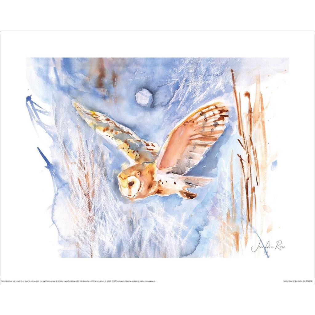 Jennifer Rose Barn Owl Winter Sky Poster