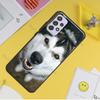 Чехол для телефона с щенком хаски для Samsung Galaxy A32 A12 A42 A52 A72 A11 A51 A71 A21S A20S A50 A70 A10