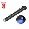 Mini LED Flashlight XPE Portable Fixed Pen Light Waterproof Torch Camping Emergency Outdoor Walking Lantern Keychain Flashlight